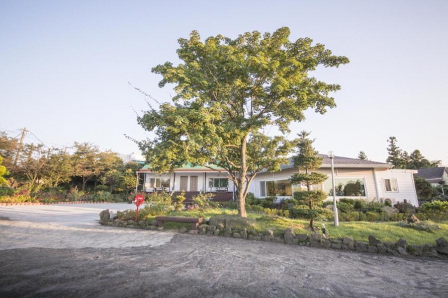 Sunyang Village Pension Jeju Extérieur photo