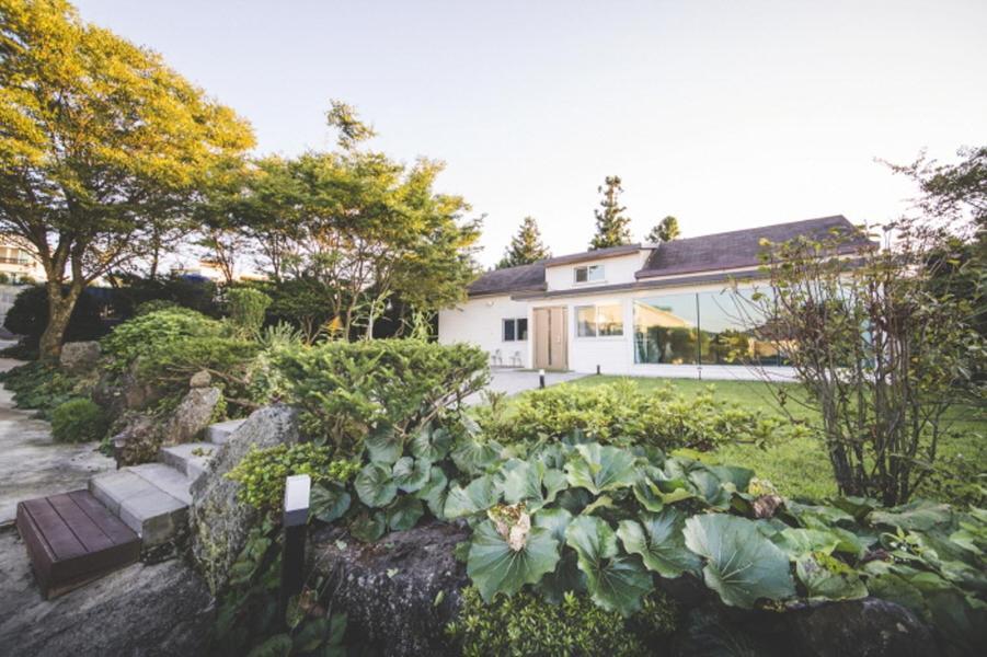 Sunyang Village Pension Jeju Extérieur photo